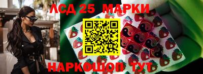 гидропоника Бугуруслан