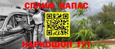индика Будённовск