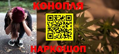 индика Будённовск