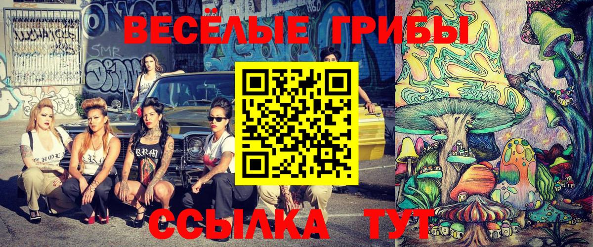 Галлюциногенные грибы GOLDEN TEACHER  закладка  Пыть-Ях  Вход с VPN 